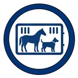 Live Animals